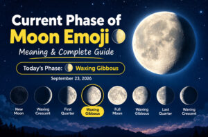 Current Phase of Moon Emoji 🌔 Meaning and Guide